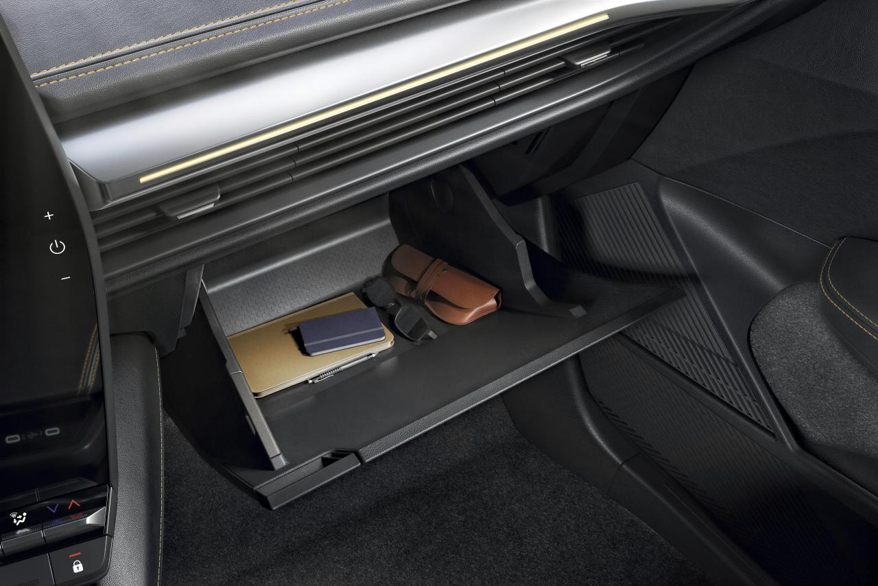 2021 - New Renault Mgane E-TECH Electric - Studio (16).jpg