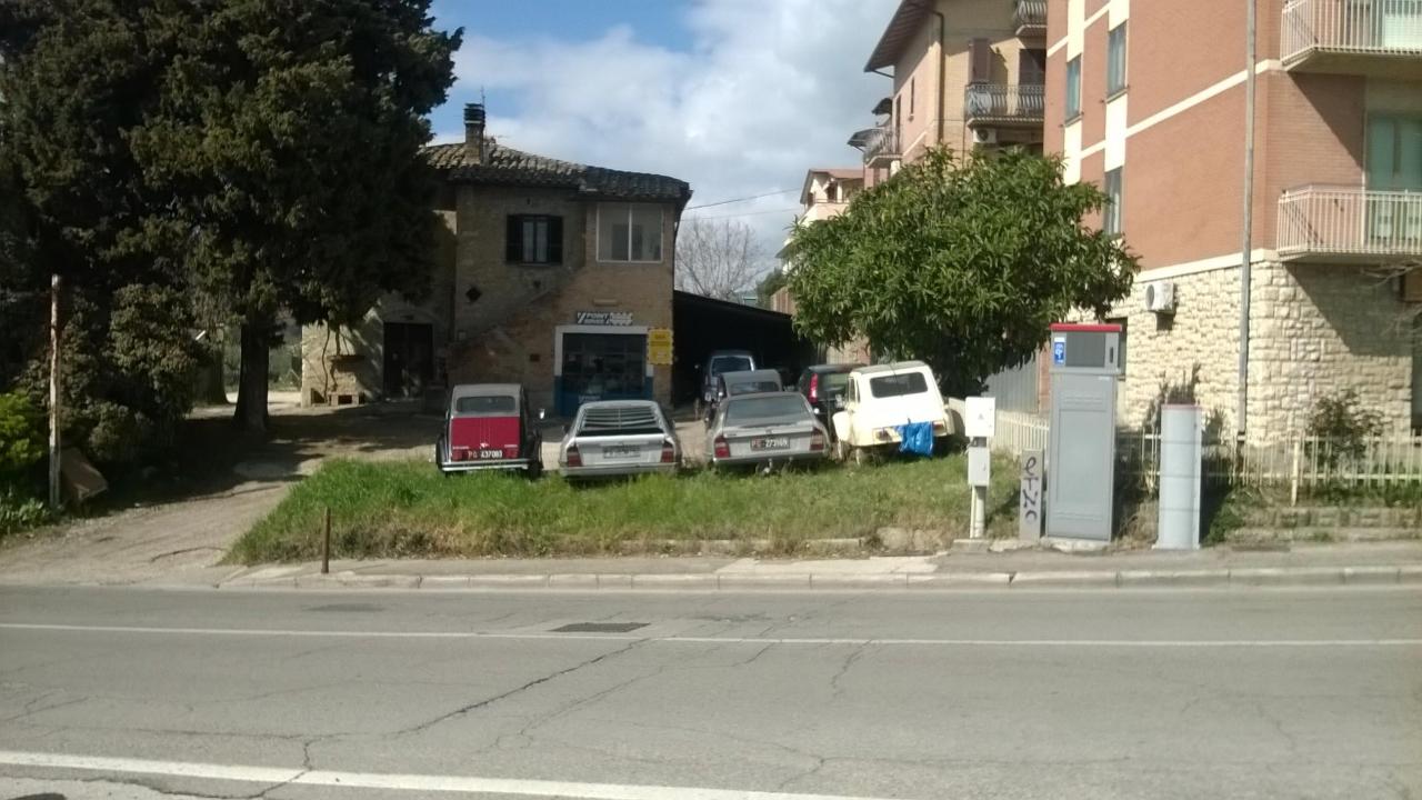 WP_20190315_12_00_17_Pro.jpg