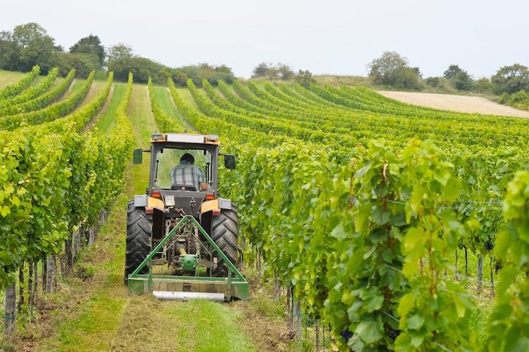 trattore-trattori-macchine-agricole-vigneto-generico-by-ewald-froch-fotolia-750.jpg.750a7040ac307254189a1a57522563f6.jpg