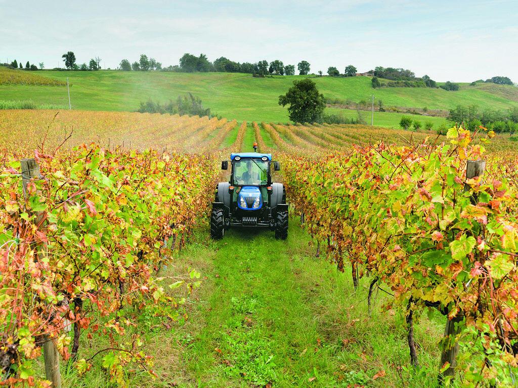 vignetiagricoltura.jpg.7b3ceee0a09ba6264b456e04d093408a.jpg