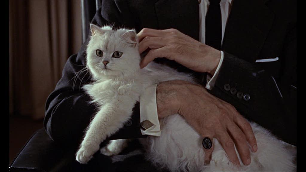 Blofeld_gip.jpg.8bb17a62a60e61c941bebdd2037b0c08.jpg