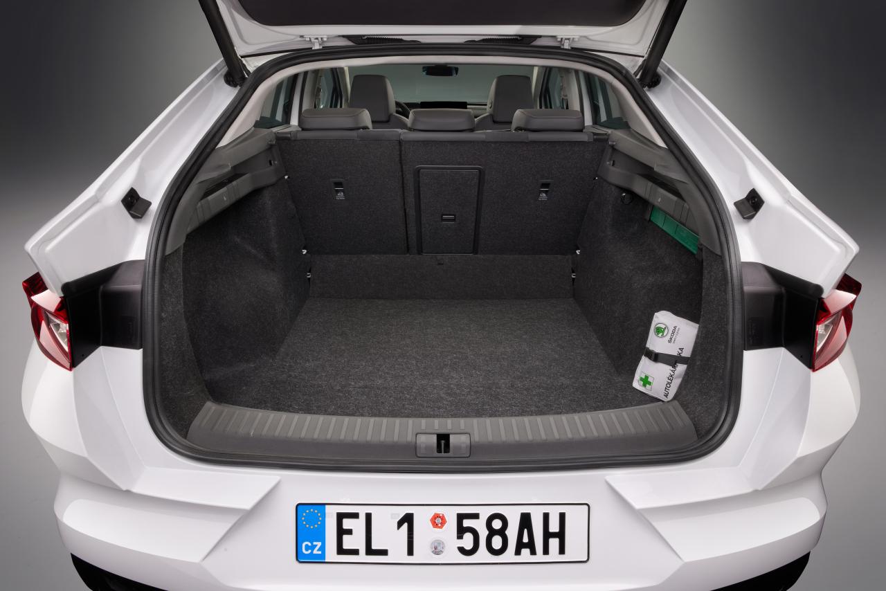 14_SKODA_ENYAQ_COUPE_iV.thumb.jpg.1f923ea63c4c2dcc7916e28928e73226.jpg