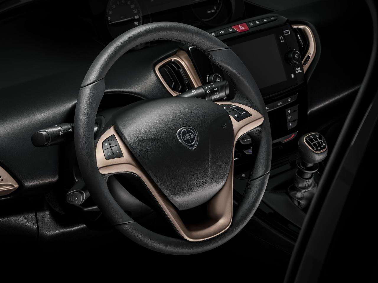 Dettaglio Volante 2.jpg