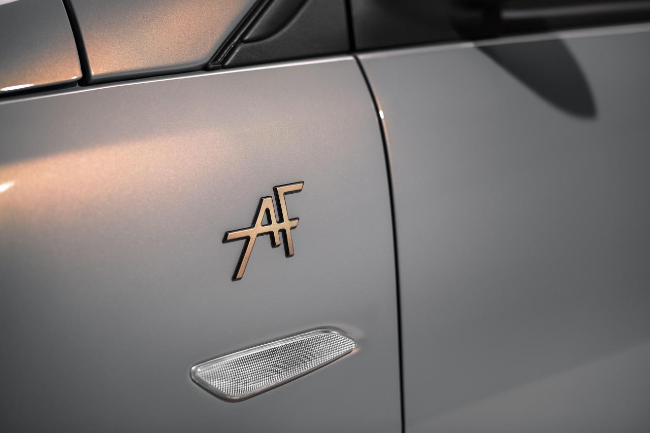 Dettaglio Logo AF 2.jpg