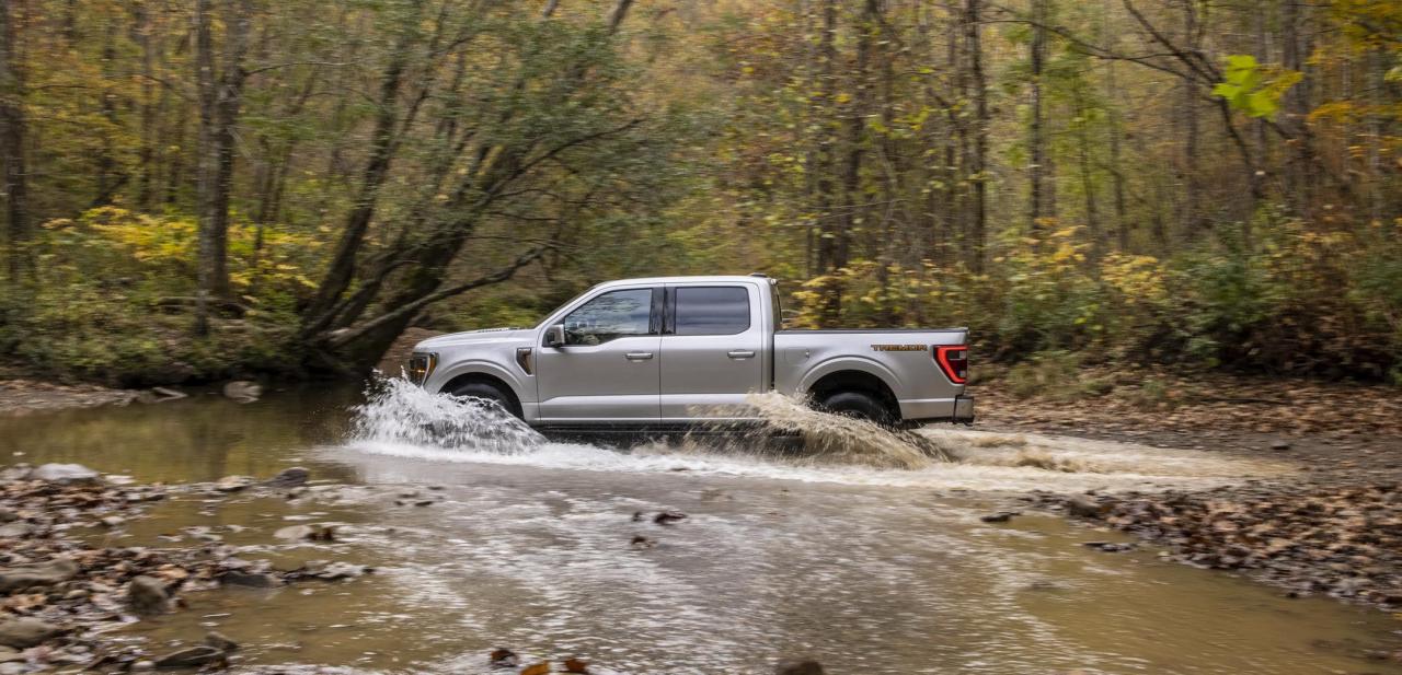 2021-ford-f-150-tremor-9.jpg