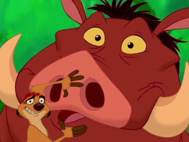 foto_timonepumbaa.jpg.c8bb64a557199fd9d73849ffdf92ada2.jpg