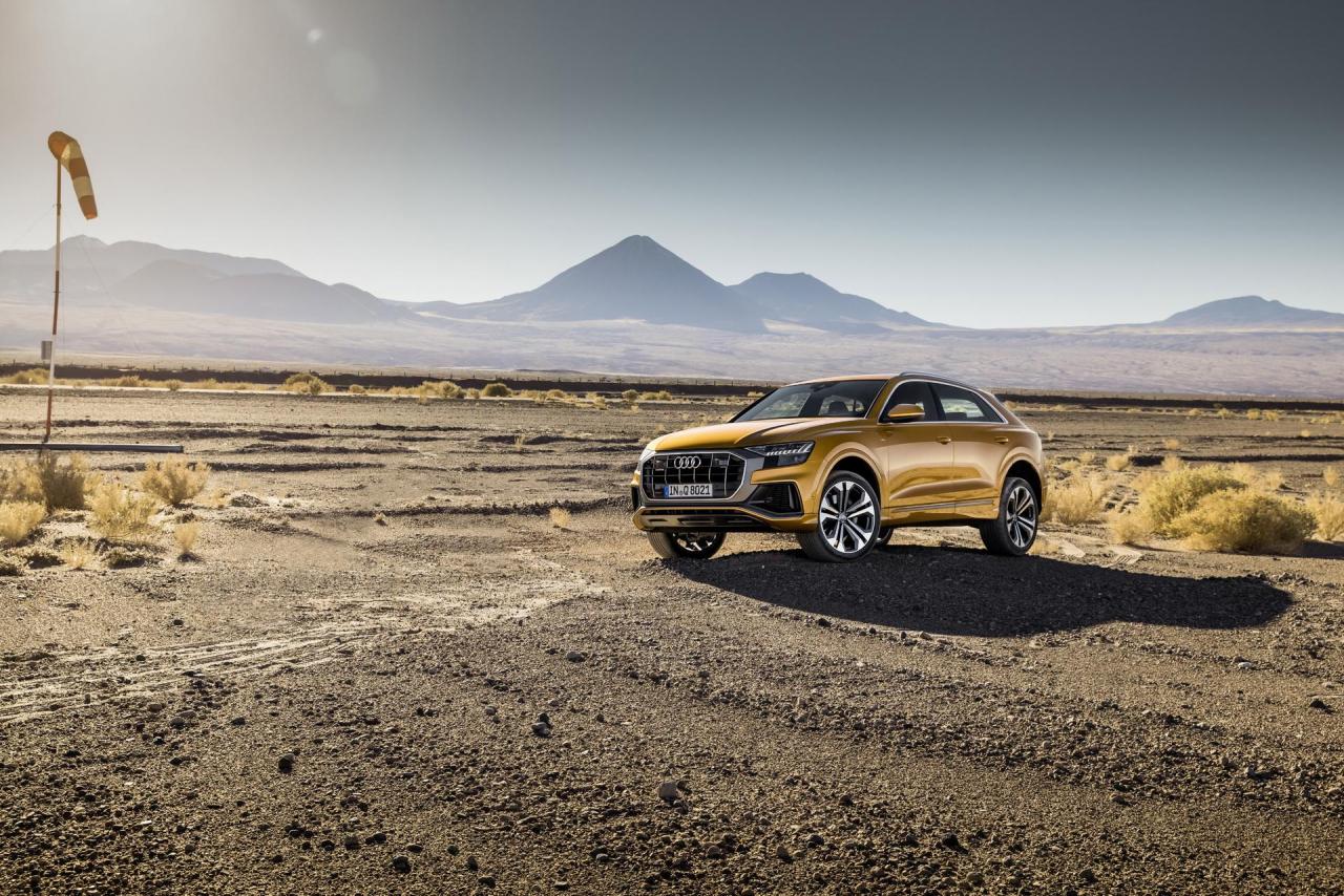 17b074e4-audi-q8-14.jpg