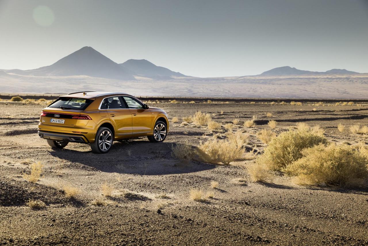 9de41739-audi-q8-02.jpg