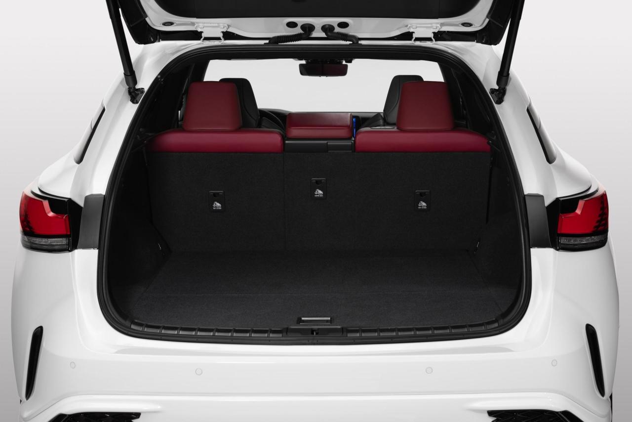 2023-Lexus-RX-31.jpg