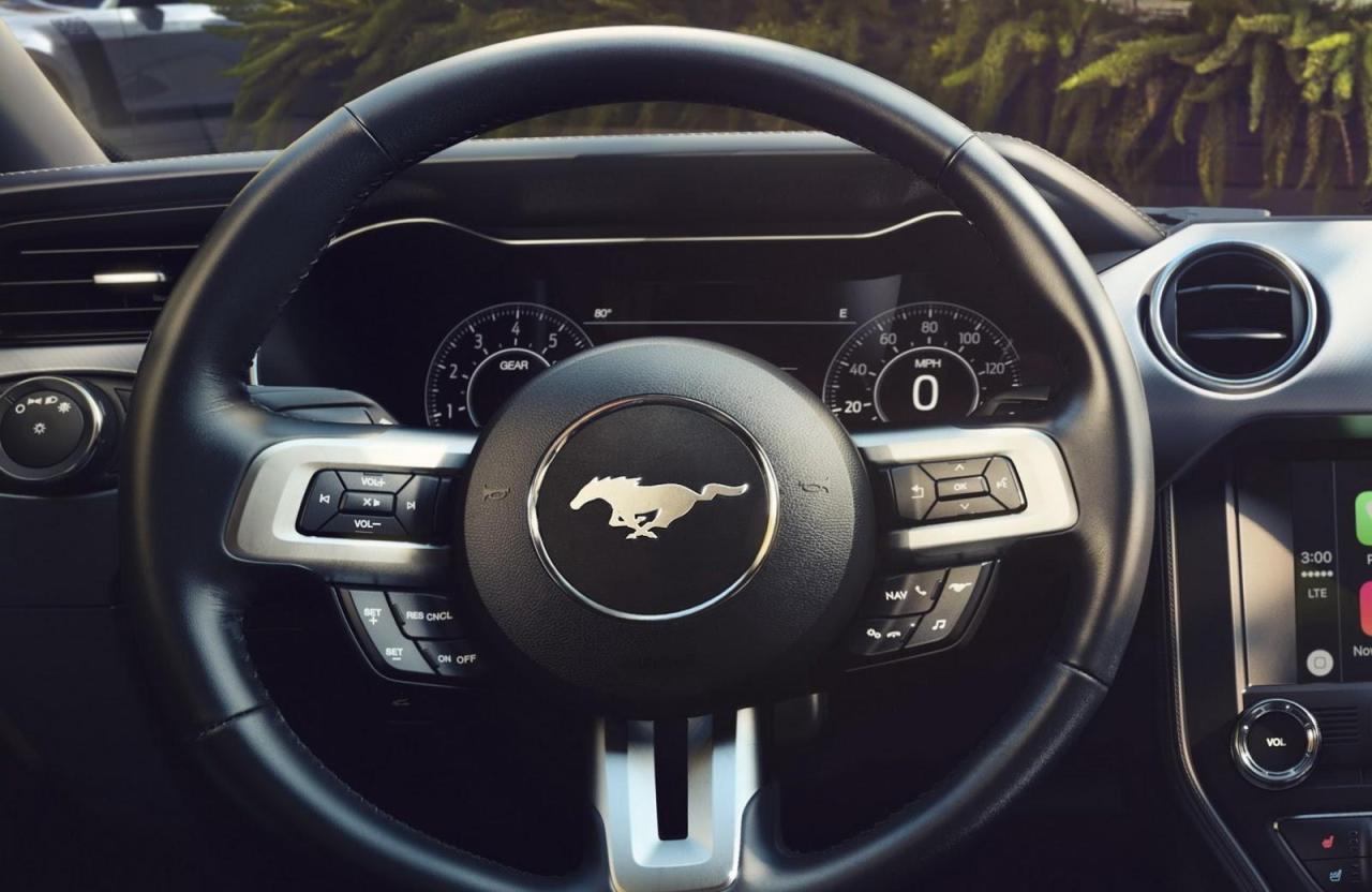 41a5e614-new-mustang-18-20.thumb.jpg.434ebb8f3e91f15e9c00d79cd6e27c23.jpg