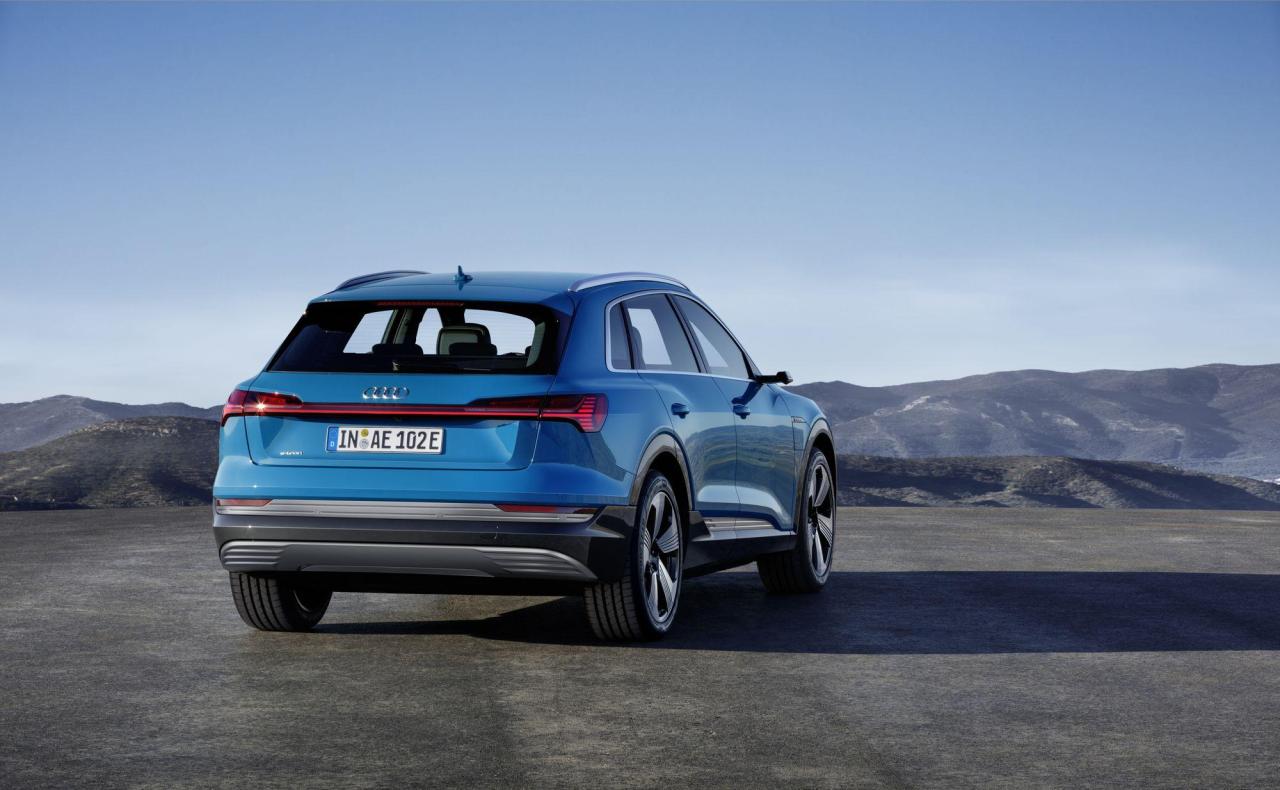 a6a5062d-audi-e-tron-suv-17.thumb.jpg.36c7799912ce2d42b18bb450b1e1f569.jpg
