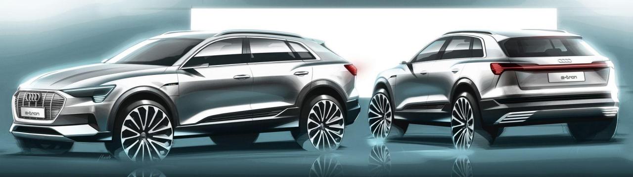 aa47252f-audi-e-tron-suv-30.thumb.jpg.99f82e88c3ceb830c5d5e19e90e66645.jpg
