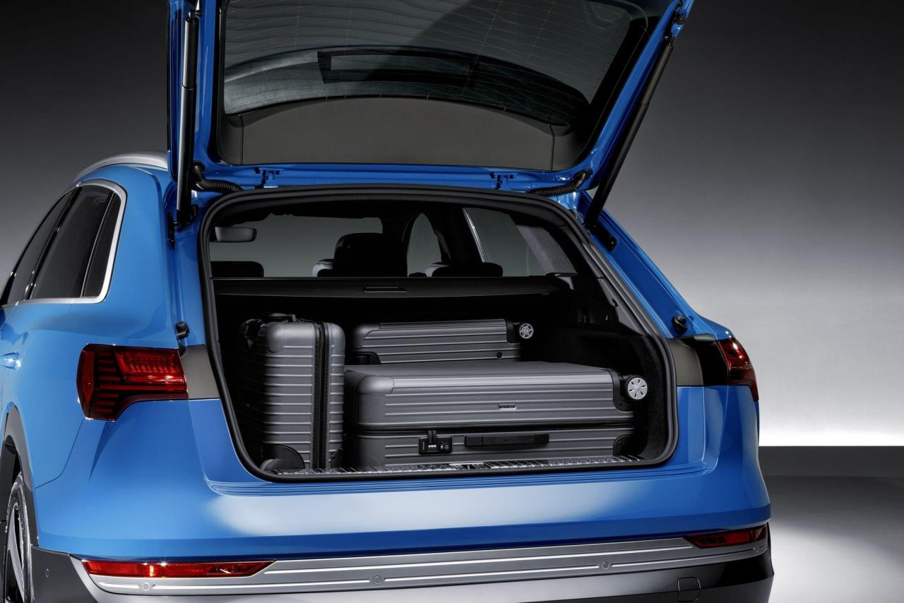 bfac9f12-audi-e-tron-suv-8.thumb.jpg.4c68d087774fe0128c8417a11a2769b1.jpg