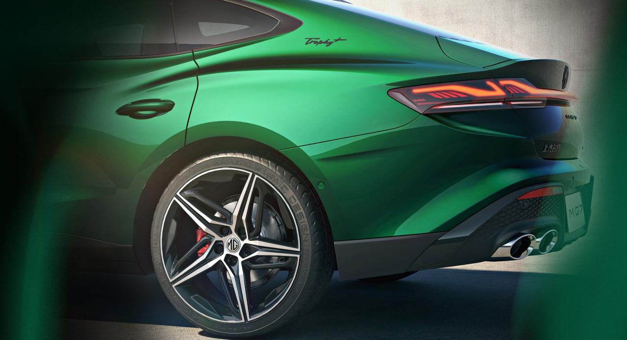 MG7-3.thumb.jpg.f9ac66d75b14b5ee49da9e706b2adea6.jpg
