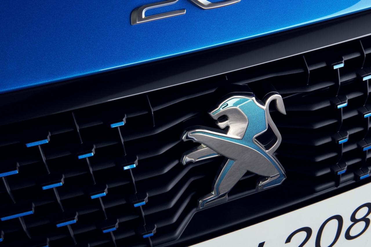 9fa61423-peugeot-208-47.thumb.jpg.e79414b27912bd6910287ef3bd7b767a.jpg