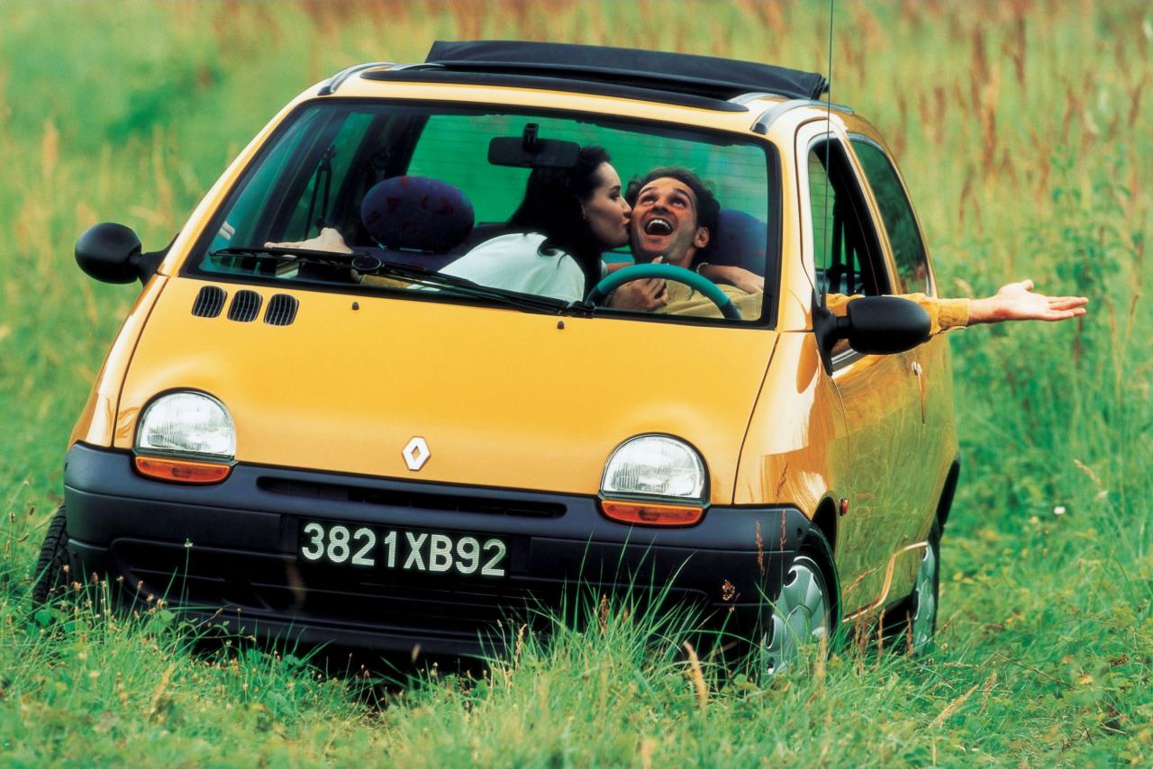 renault_twingo_canvas_top_9.jpeg