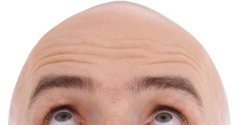 image.png.00c4c47a62c09e554c93a78fe7a5105e.png