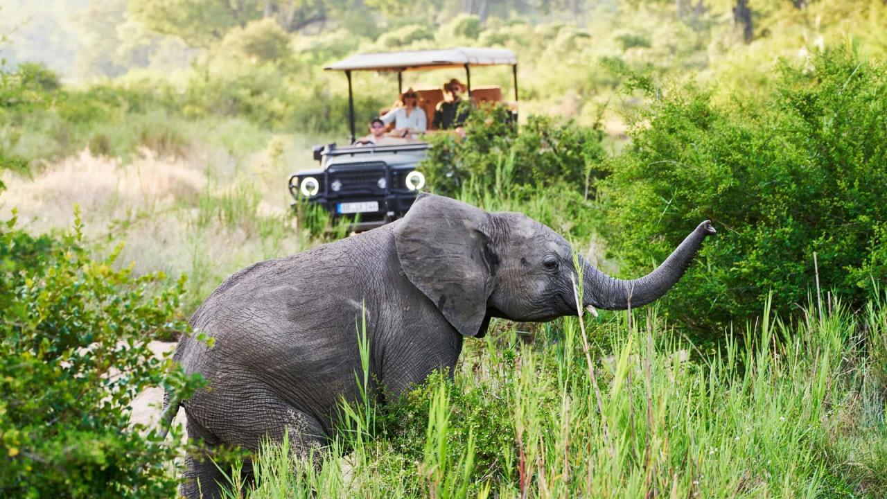 ineos-grenadier-safari-by-ineos-kavango(1).thumb.jpg.440cc6fe17a605e18c1331509ef475a1.jpg