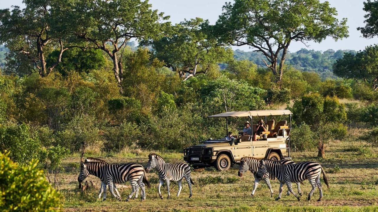 ineos-grenadier-safari-by-ineos-kavango(2).thumb.jpg.4575d026bb99d98b819c4b4e0c3bdb37.jpg