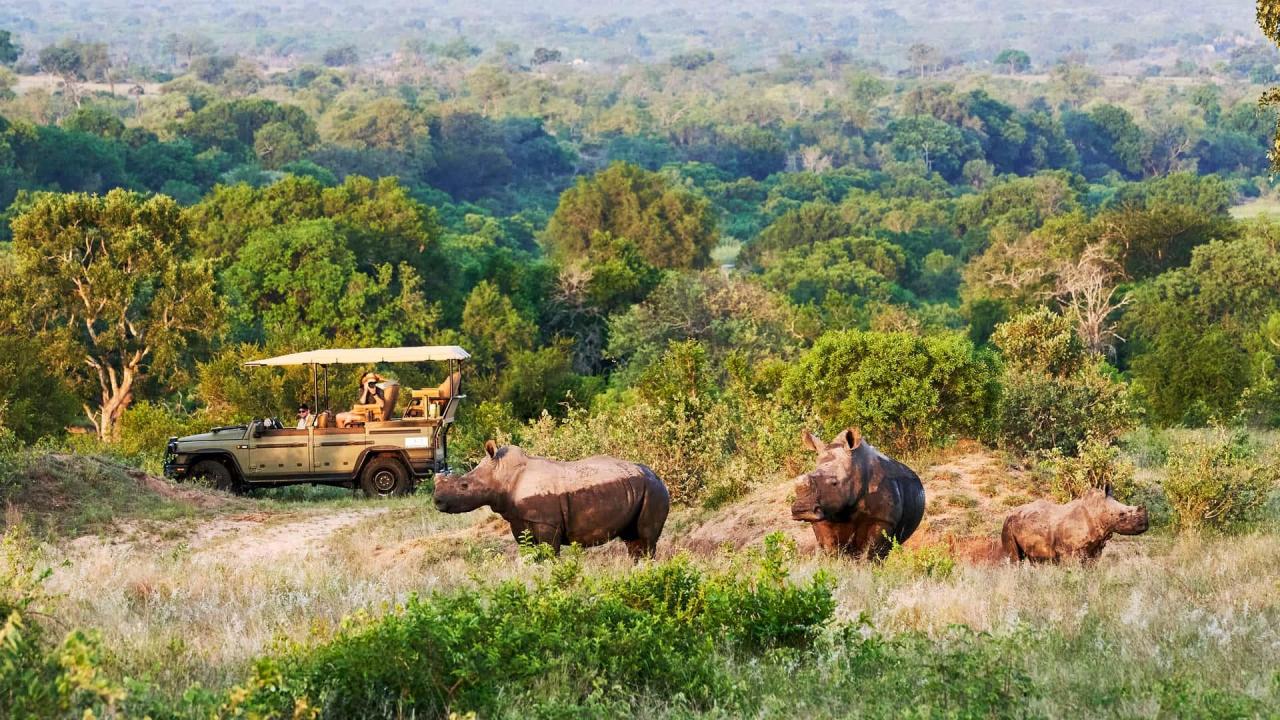 ineos-grenadier-safari-by-ineos-kavango(3).thumb.jpg.34fb56240295dd844dda318e88ecd33a.jpg