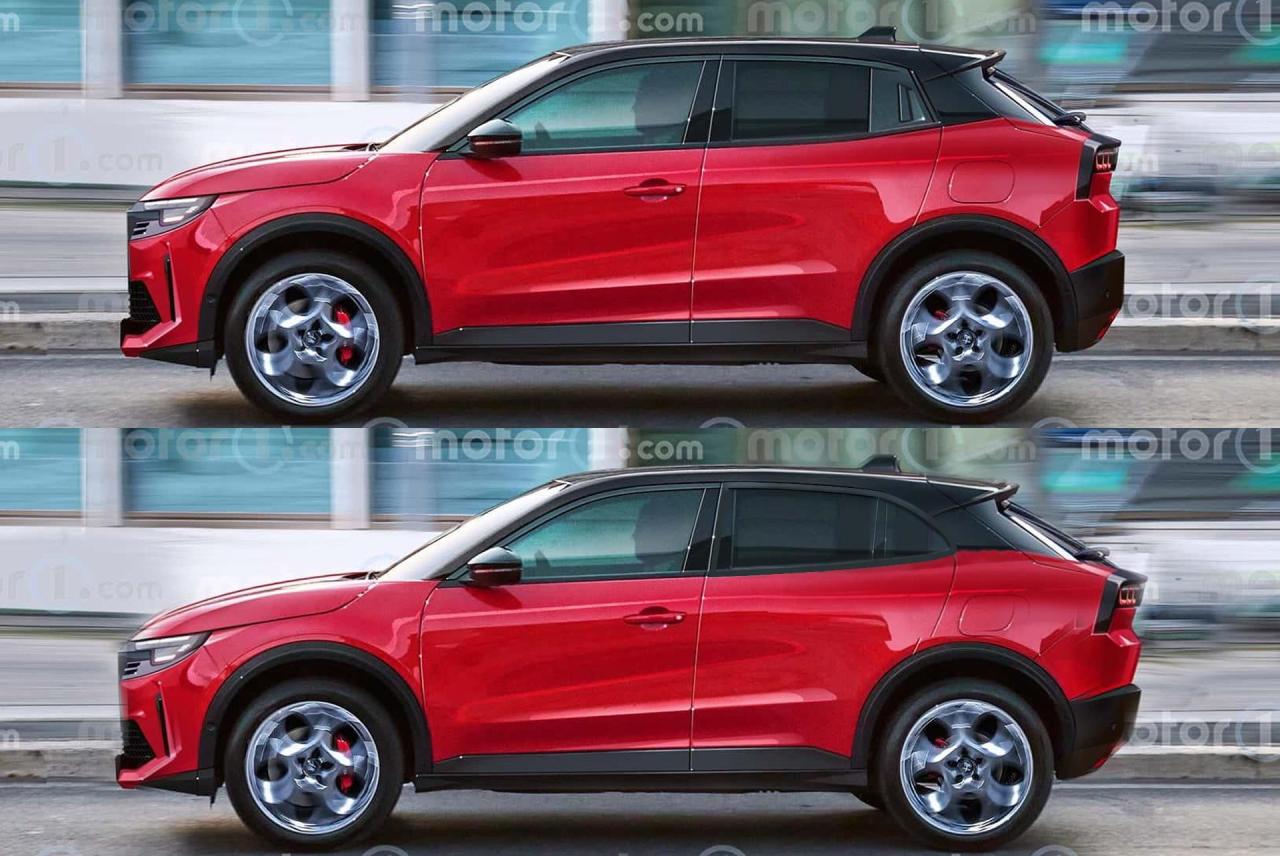 bsuv lat.jpg