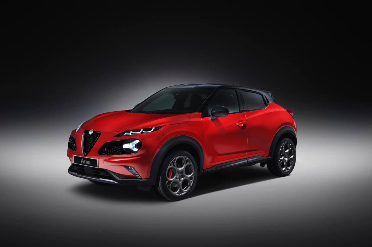 nissan_juke_230 copy.jpg