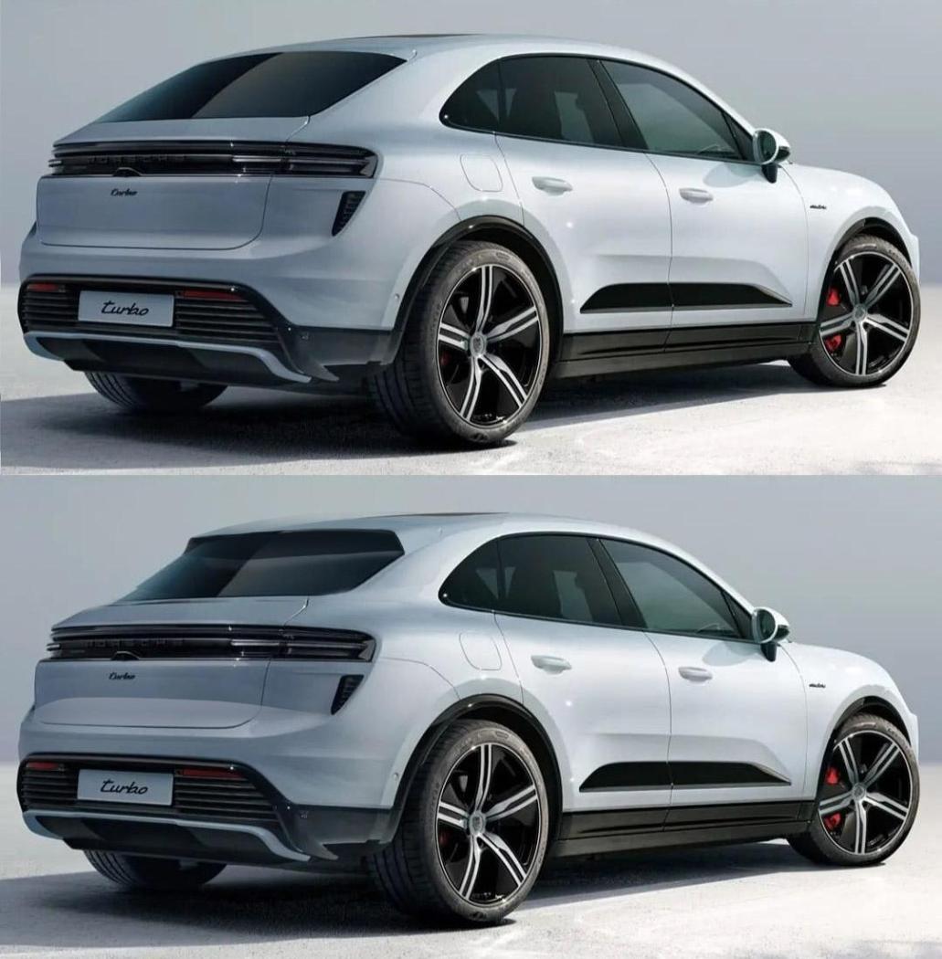 macan.jpg