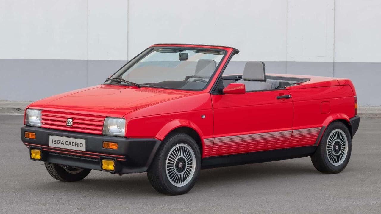 spezielle-seat-modelle-vom-ibiza-cabrio-zum-raupen-ateca.thumb.jpg.fd6838208e69929aba6a23cd8c690463.jpg