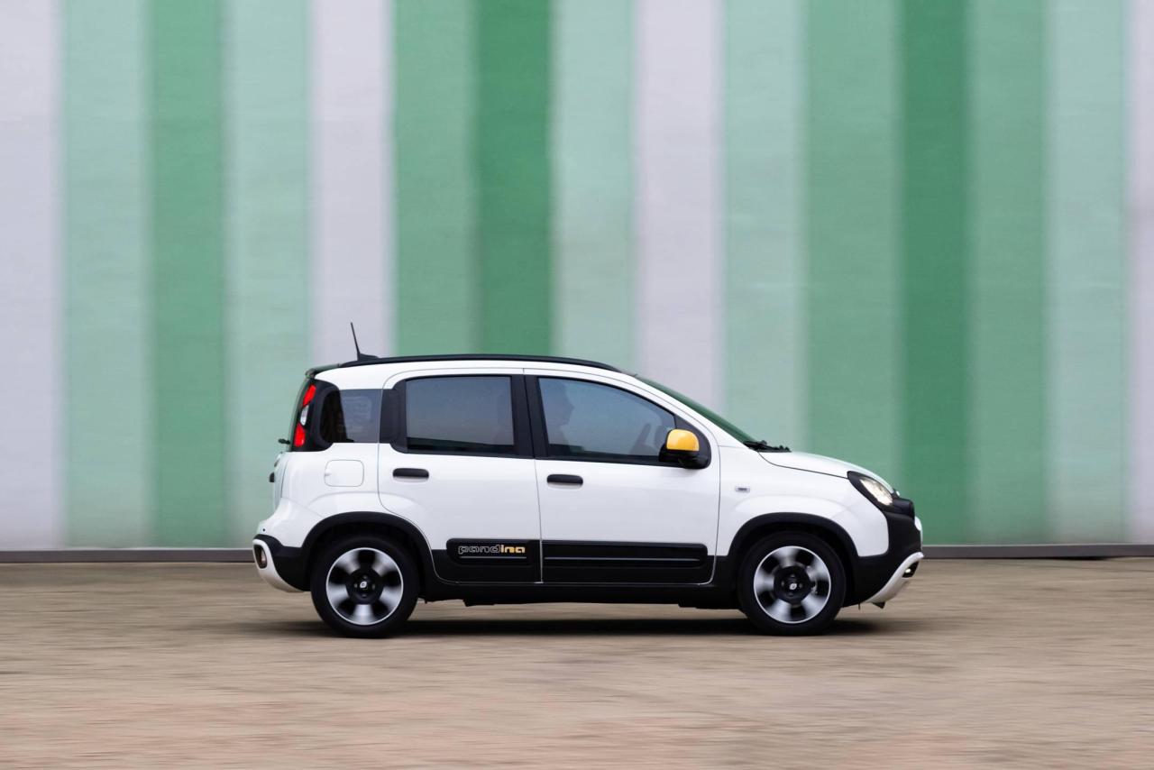 04_FiatPandina.thumb.jpg.73e8bbec4c700c73c13743461f8cedfb.jpg