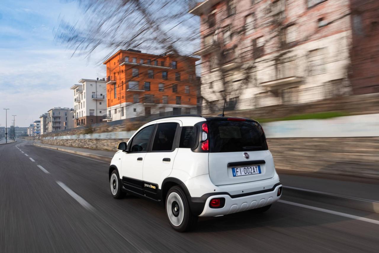 24_FiatPandina.thumb.jpg.0c80bb9c483473e94b134901d53fa6f5.jpg