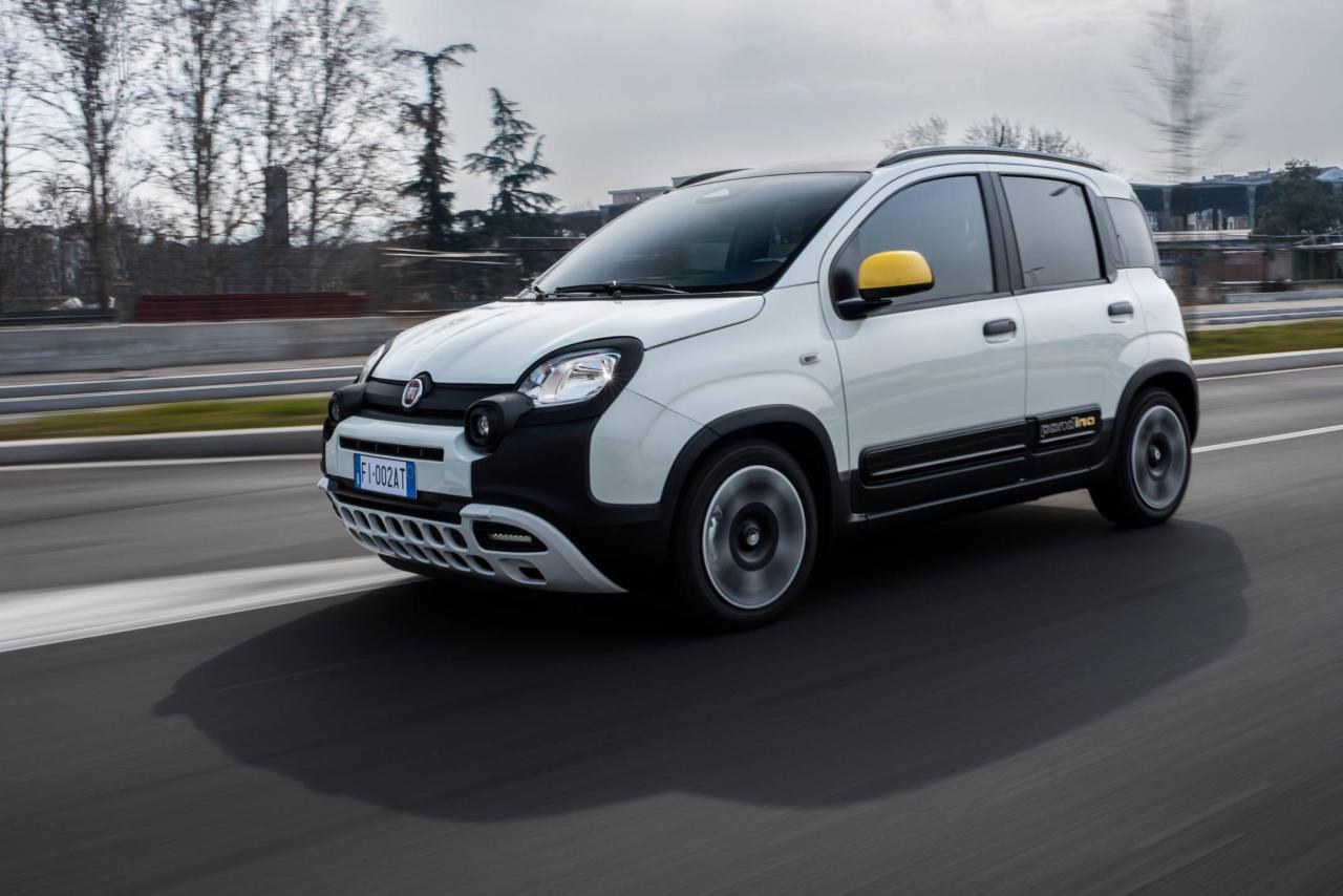 26_FiatPandina.thumb.jpg.090e0d4510cea5e21a4309f643e6098a.jpg