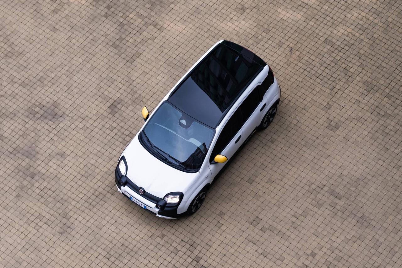31_FiatPandina.thumb.jpg.714825d2c4968d2dce7a4d31c8942f62.jpg