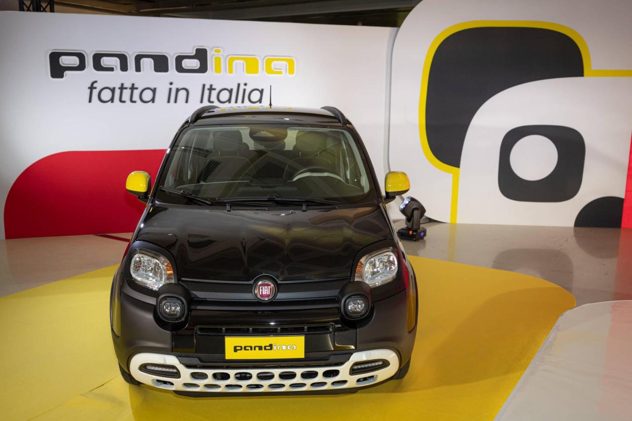 FiatPandina(2).thumb.jpg.90a29f3b30679fb03e37d3c63b308f1b.jpg