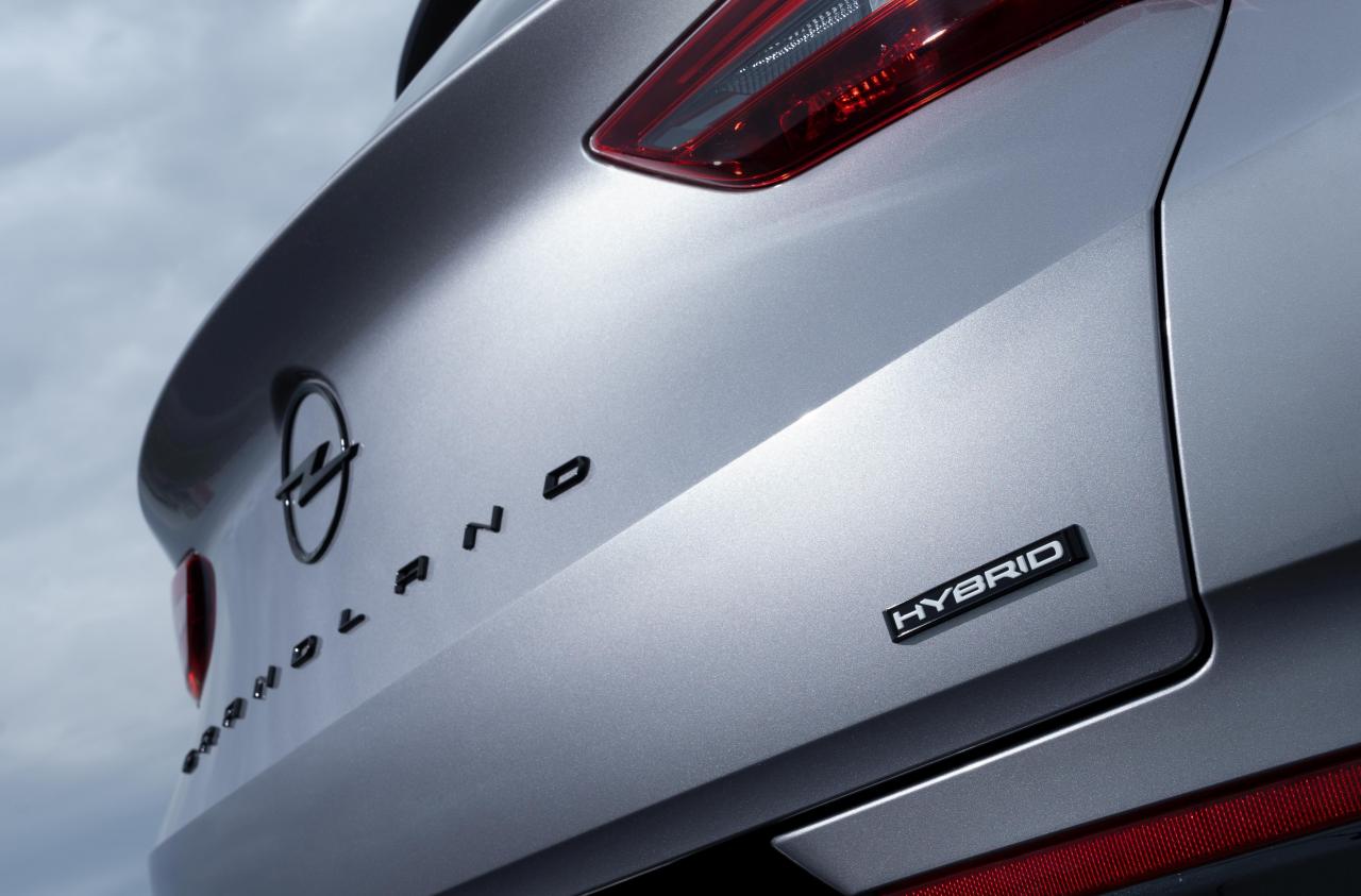OpelGrandlandHybrid.thumb.jpg.cedc80284939b1b02aea301e1fbbe3b8.jpg