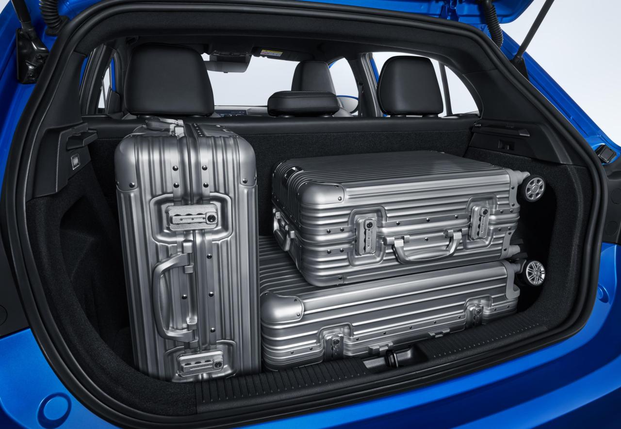 Trunk-3.jpg