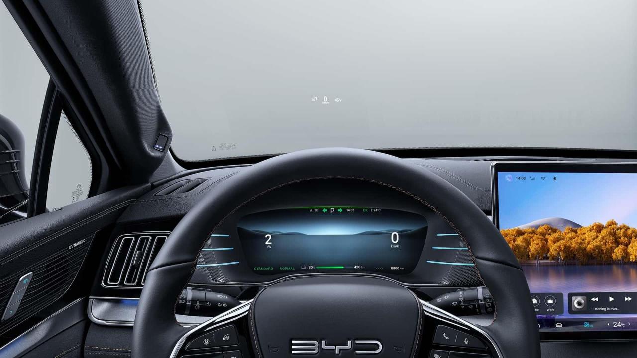 byd-tang-2024 (14).jpg