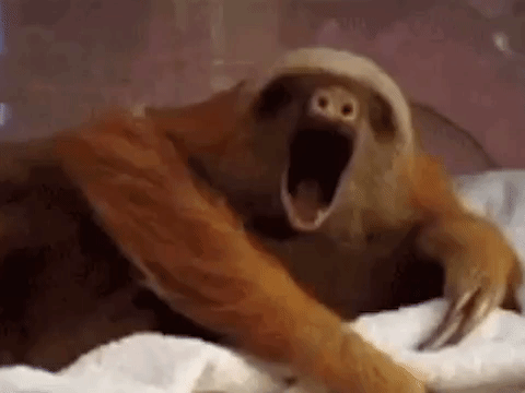 cf472618ccd6902516f49189b2697550.gif.df1795b3043065b33101f49b3f8e74bd.gif