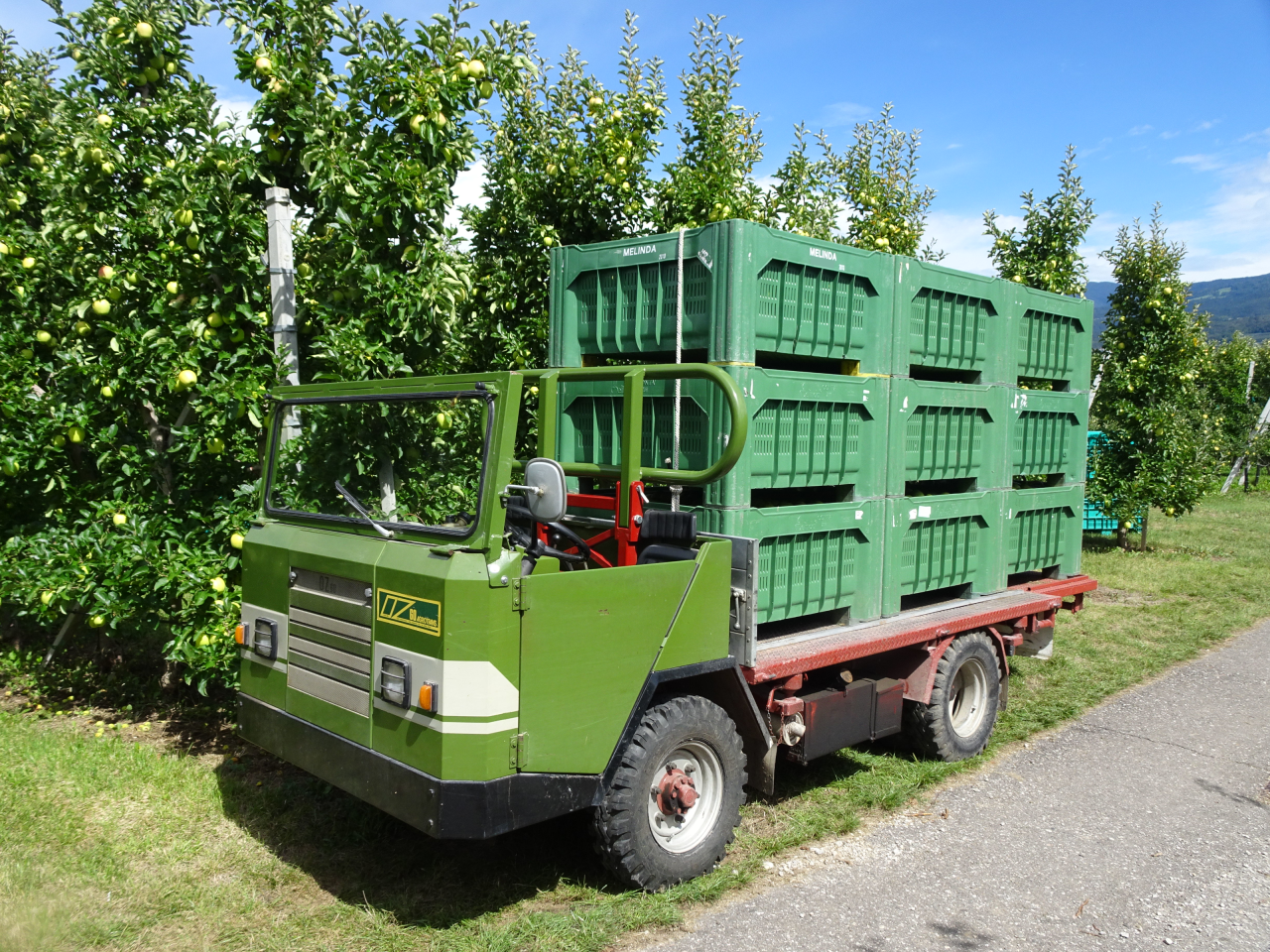 OZ60Agrotrans1small.thumb.png.64ca65661d7ae95ac43142b7a681bb42.png