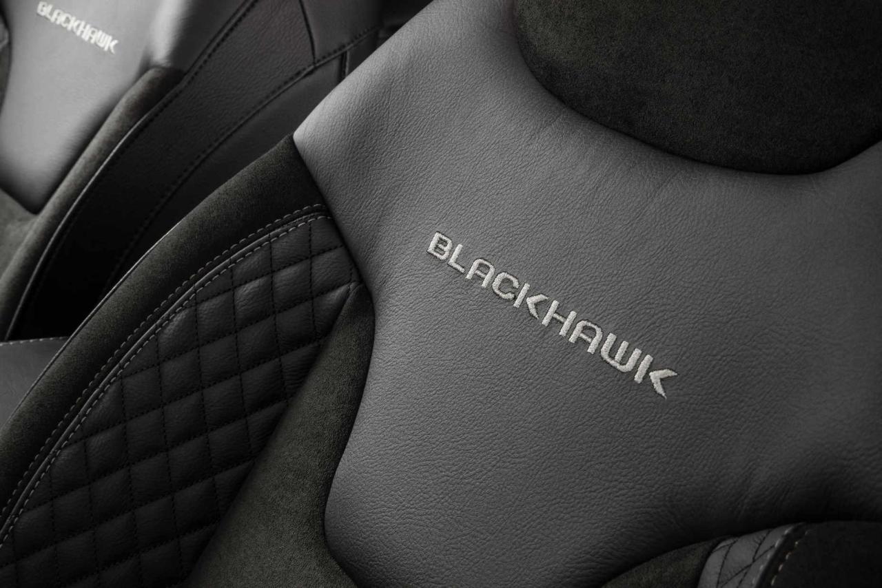 Commander_Blackhawk_039.thumb.jpg.7feb468265b775cf166af53c4e9551a2.jpg