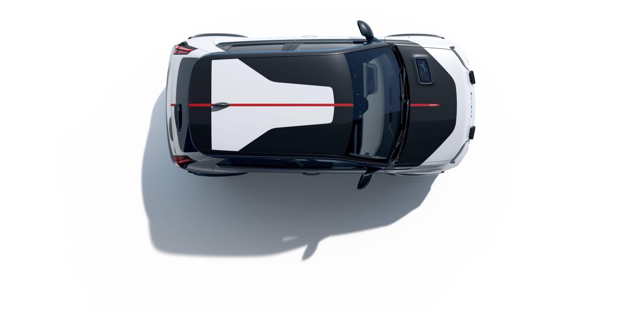 Alpine_A290_Premiere_Edition_Blanc_Nival_10.thumb.jpg.fb08cf75d567a8b3f00444cdeeb76317.jpg
