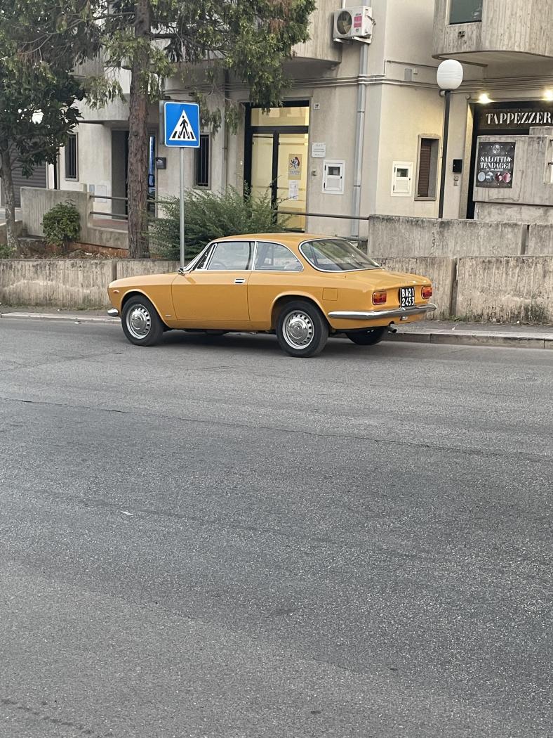 IMG_7881.jpeg