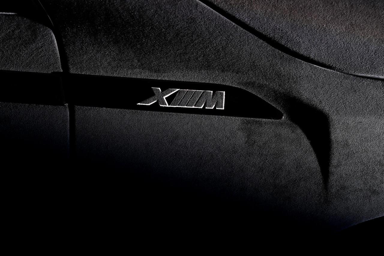 P90559519_lowRes_bmw-and-alcantara-20.jpg
