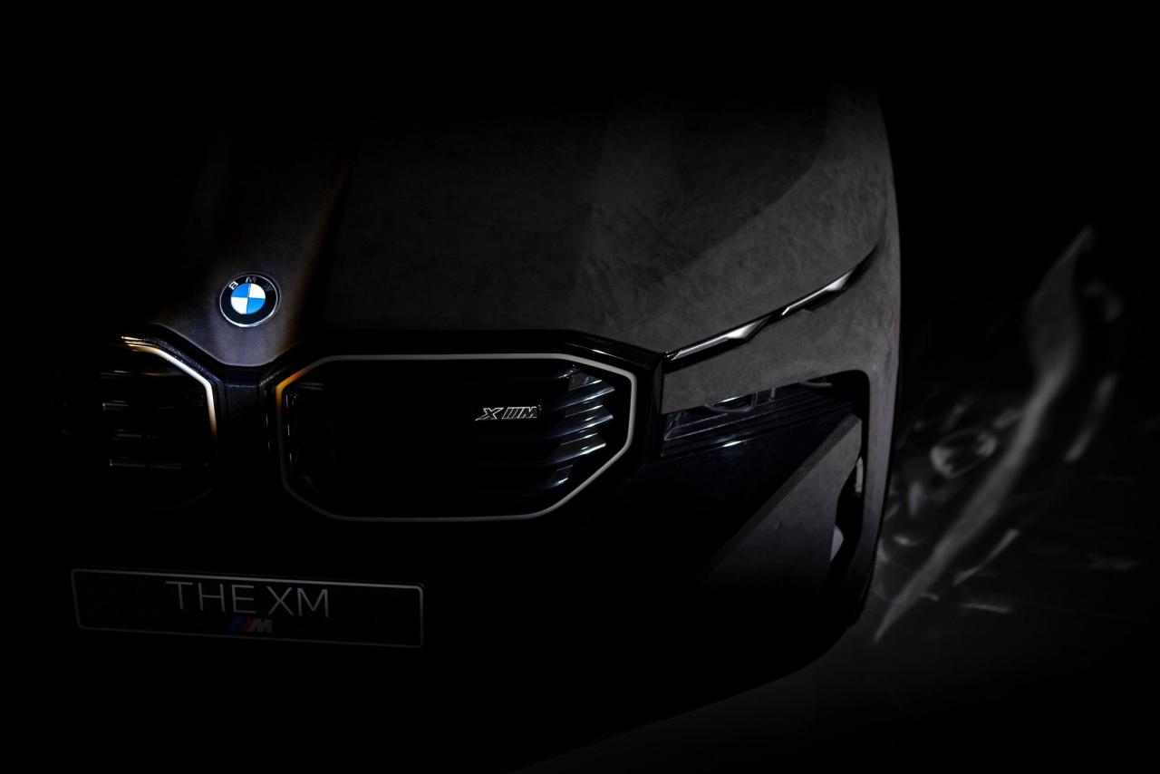 P90559520_lowRes_bmw-and-alcantara-20.jpg