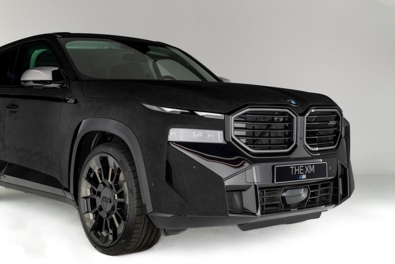P90559535_lowRes_bmw-and-alcantara-20.jpg