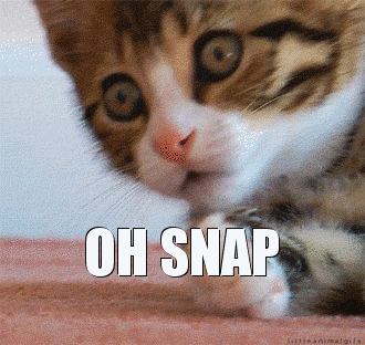 8Fw3.gif.cdfae1ae98b8e9a9230a122d217014bf.gif