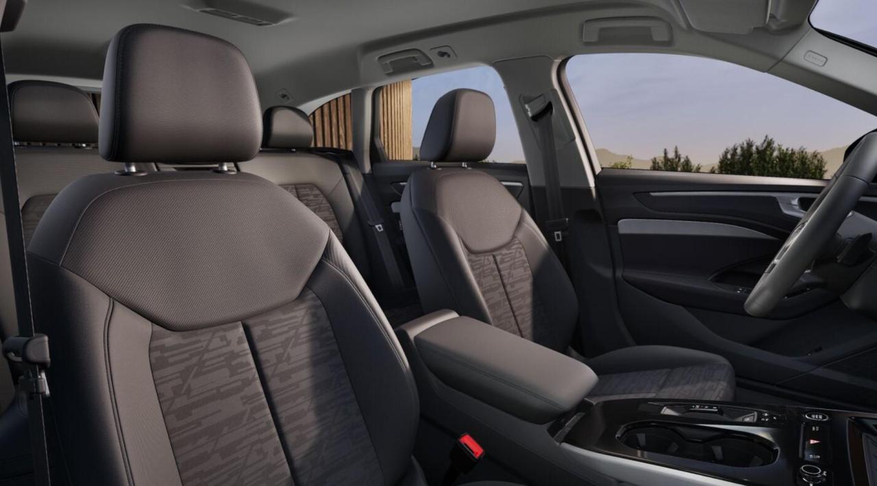 AUDI_06.thumb.jpg.d023e5c838139c5b2a03b1d1147d6302.jpg