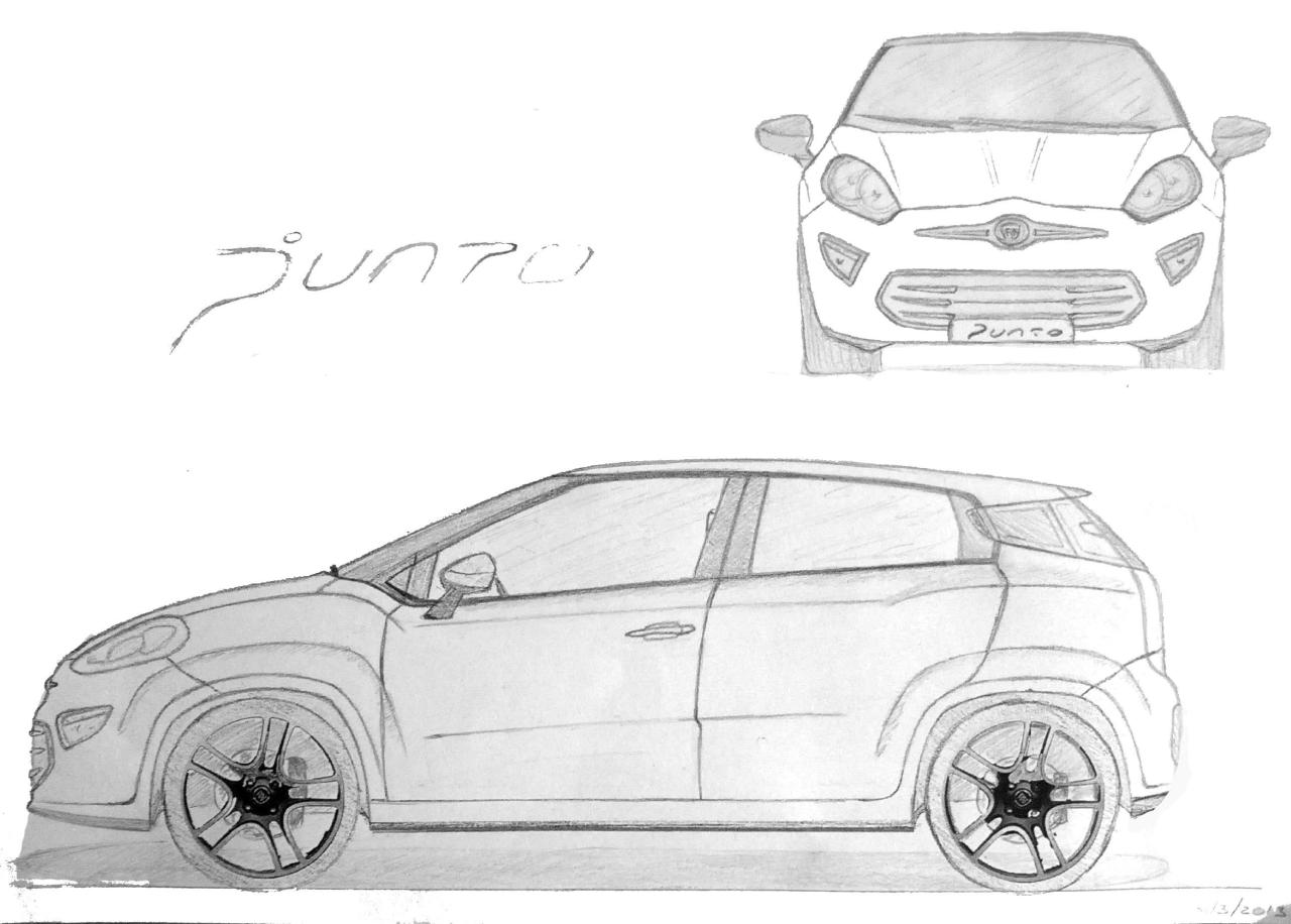 Fiat Punto 2014 corta.jpeg