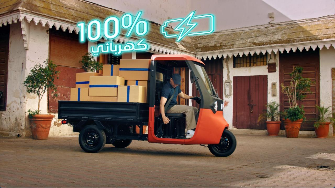 100electrique.jpg