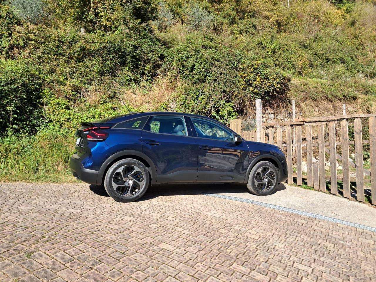 WhatsApp Image 2025-10-26 at 20.17.06.jpeg