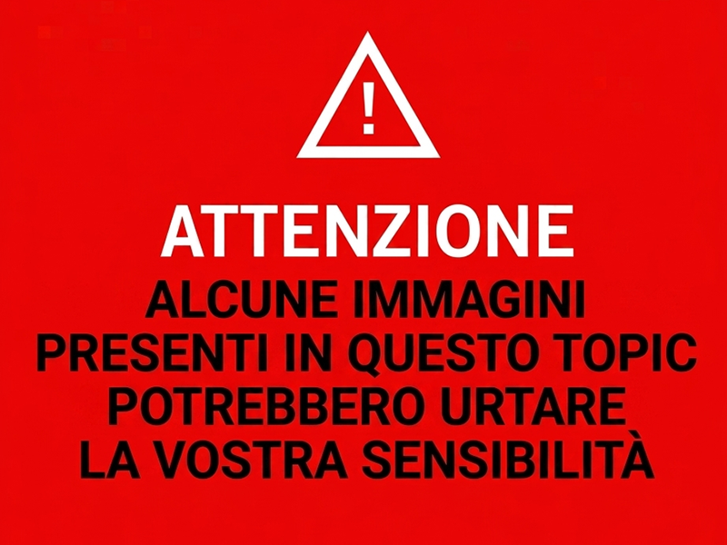 immagine.png